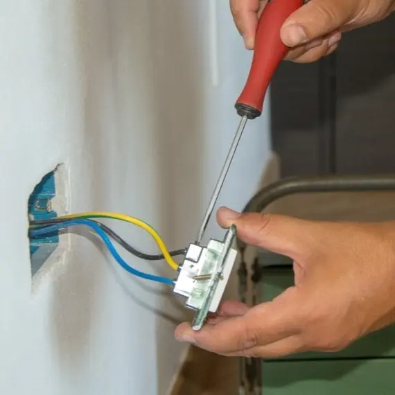 Professional Repair Service